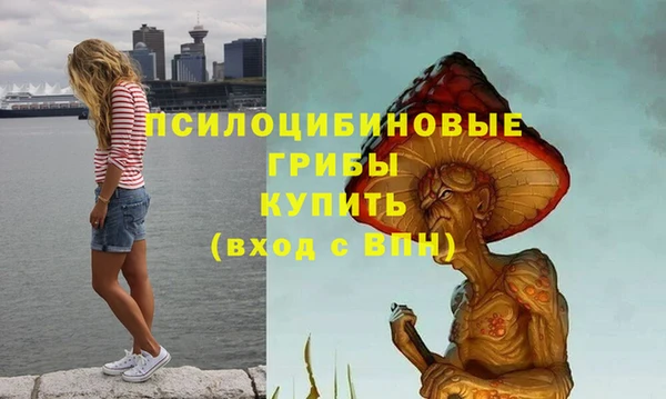 бутират Дмитров