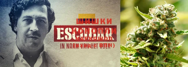 альфа пвп VHQ Дмитриев