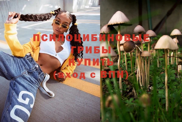 бутират Дмитров