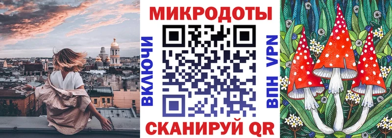 Купить где  Буинск  Галлюциногенные грибы Psilocybine cubensis 